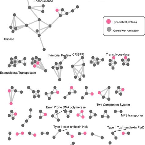 Meropenem Resistance Gene Subnetworks Grey Nodes Indicate Genes With Download Scientific