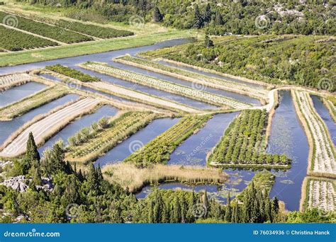 Overlooking The Neretva River Delta In Croatia Stock Photo Image Of