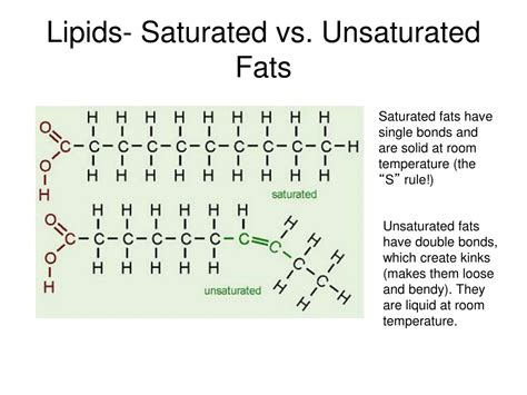 PPT - Biochemistry Organic Compounds PowerPoint Presentation, free ...