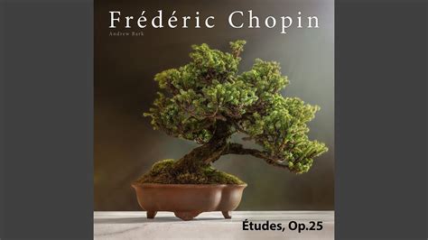 Études Op 25 1 Etude in A Flat Major Aeolian Harp YouTube Music