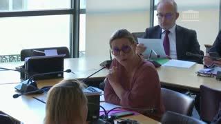 Interventions en commission et en séance Mme Isabelle Santiago Val