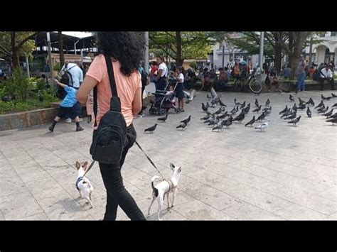 Fuimos A Plaza Libertad Y Gerardo Barrios En El Centro Hist Rico De