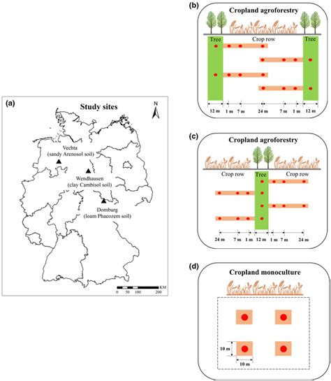 A Locations Of The Three Study Sites In Germany B Measurement