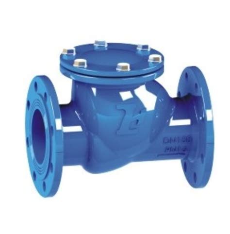 DN50 DN300 Pn10 Pn16 BS 5153 Ductile Iron Cast Iron Non Return Valve