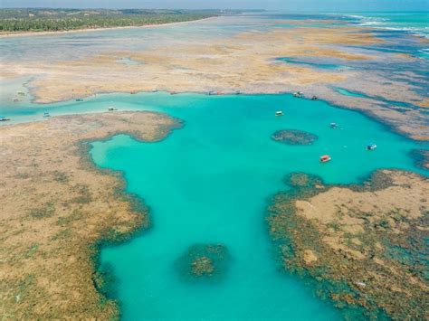 Praia Do Patacho Eleita Uma Das Praias Mais Limpas Do Brasil Sert O