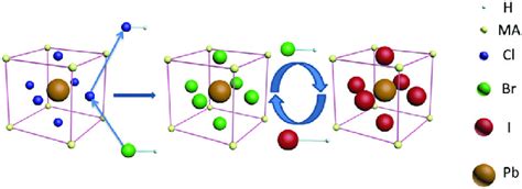 Schematic Representations Of The Processes Of Halide Exchange Reactions