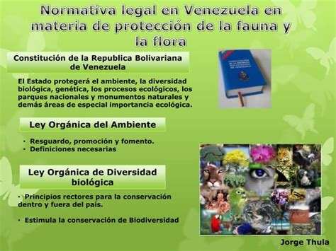 Cambio Climático Afecta La Biodiversidad Venezolana