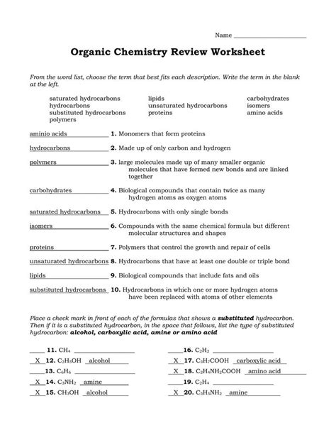 Organic Molecules Worksheet Review Db Excel