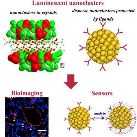 Advances In The Controlled Synthesis And Applications Of Luminescent