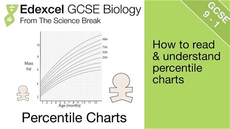 13 Edexcel Gcse Biology Percentile Charts For Measuring Growth Youtube