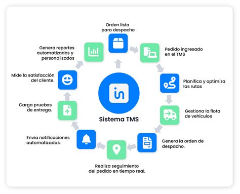 ¿qué Es Un Tms Guía Completa Para La Gestión De Transporte