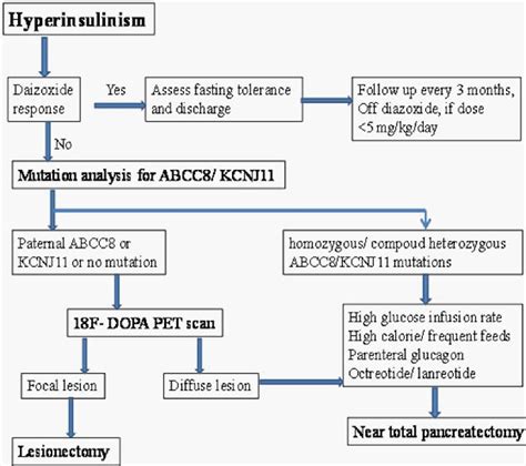 Persistent Neonatal Hypoglycemia Semantic Scholar