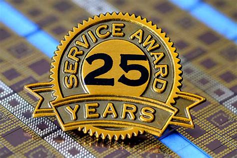 25 Years Of Service Logo