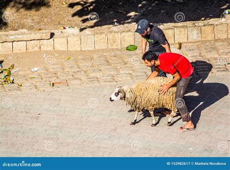 Fes Morocco October 16 2013 Islamic Rituals On The Street During