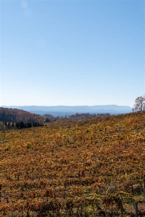 7 Best Wineries Near Hendersonville, NC - Stuck on the Go