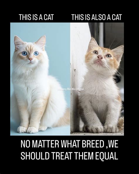 Doctors explain why hickeys form and how to treat them 2