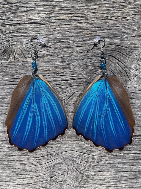 Real Butterfly Earrings Giant Blue Morpho Didius Bottom Hindwings Glass