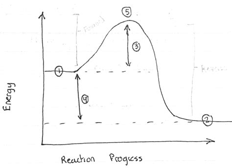 AP Chem Ch 12 13 Chemical Kinetics And Equilibrium Diagram Quizlet