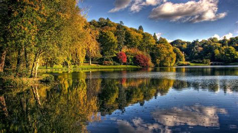 Online Crop Brown And Green Trees Near Body Of Water Painting Lake