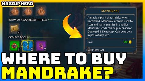 Hogwarts Legacy Where To Get Mandrake And Venomous Tentacula Easy