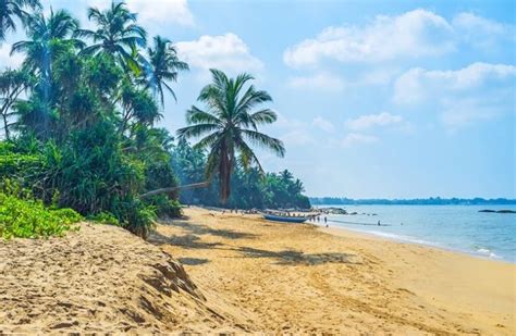 beste Reisezeit für Sri Lanka Klima Wetter Reisewelt