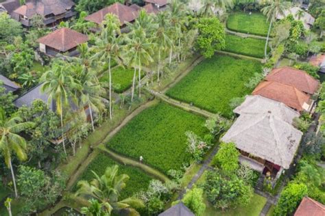 Best Resorts In Ubud For Every Budget Where To Stay Bali