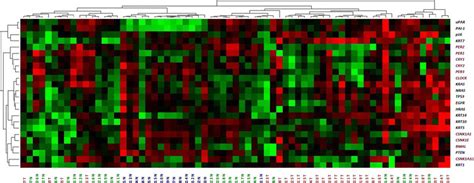 Unsupervised Hierarchical Cluster Analysis Of Differentially Expressed