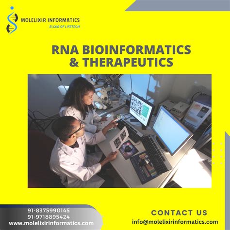 Molelixir Informatics Rna Bioinformatics And Therapeutics