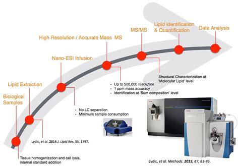 Lipidomics Workflows Thermo Fisher Scientific DK