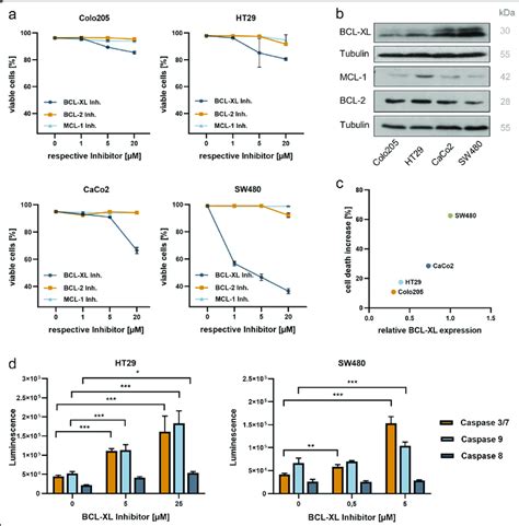 Selective Bcl Xl Inhibition Induces Apoptotic Cell Death In Human Crc