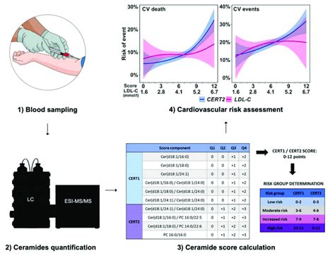 Cardiovascular Risk Assessment Using Ceramides Based Scores