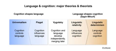 Aamc Psy Soc Flashcards Quizlet