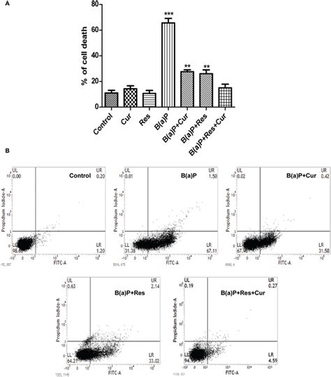 Frontiers Benzo A Pyrene Induced P53 Mediated Male Germ Cell Apoptosis Synergistic Protective