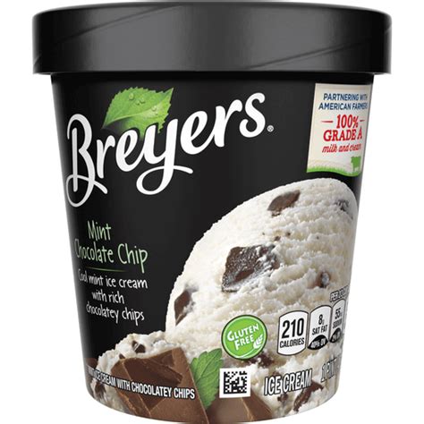 Breyers Original Ice Cream Mint Chocolate Chip 16 Oz Ice Cream