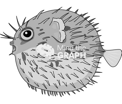 Blowfish Inflated Lateral