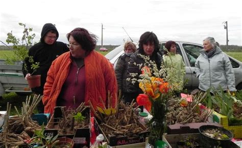 Le troc aux plantes fait le bonheur des jardiniers Bû 28410