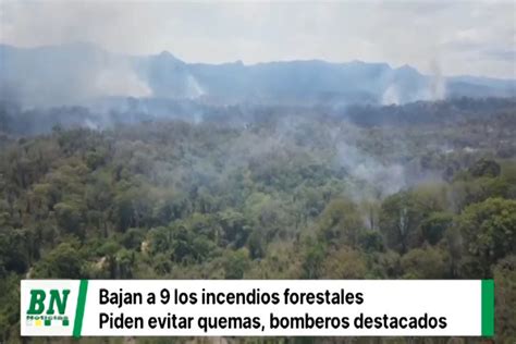 Registran 9 Incendios Forestales Y Bomberos Trabajan En Zonas Afectadas Envían Alimentos Y