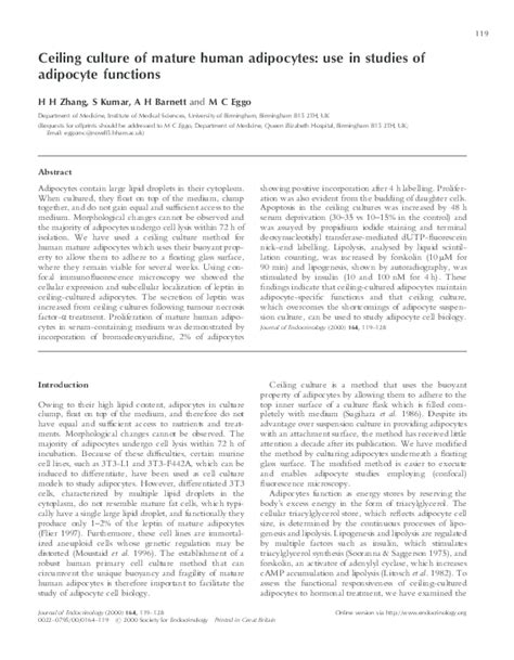 Pdf Ceiling Culture Of Mature Human Adipocytes Use In Studies Of