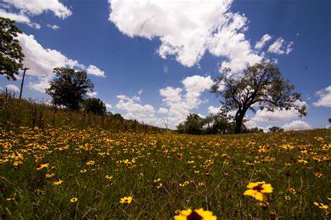 Elevation of Abilene, TX, USA Elevation Finder - Topographic map