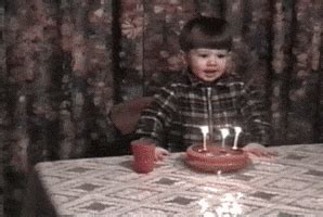 Funny Birthday GIFs - Find & Share on GIPHY