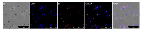 Figure 3 From Methods For Assessment Of Viability And Germination Of