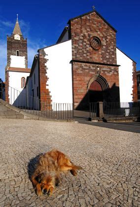 Funchal Cathedral Madeira Editorial Stock Photo Stock Image