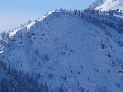 Natural Avalanches Around Cooke City Gallatin National Forest