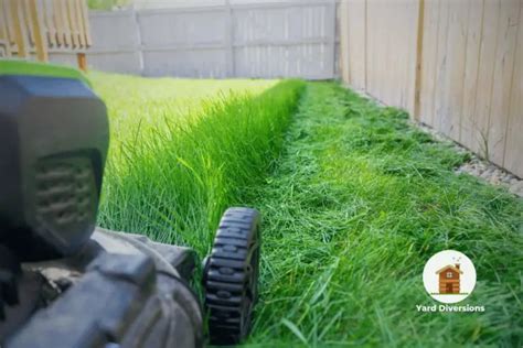 Get The Perfect Lawn 7 Reasons To Embrace A Mulching Mower Yard