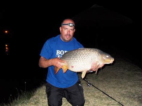 South African Common Carp Photographs And Pictures