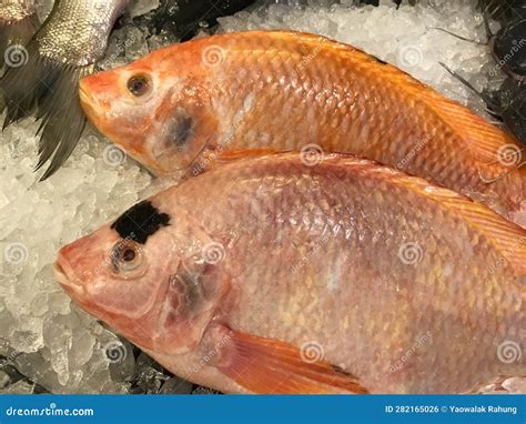 Pescado Fresco En Hielo A La Venta En El Supermercado Foto De Archivo