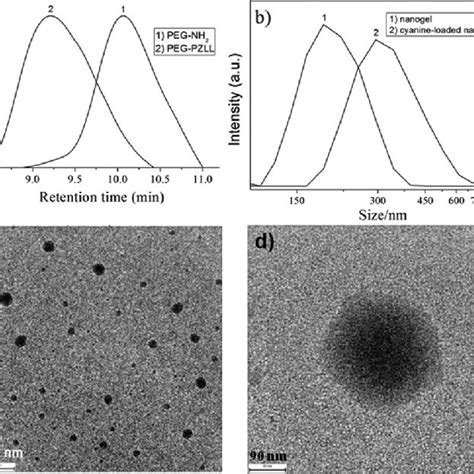 A Gpc Of Mpeg Nh And Diblock Polymer Peg Pzll B Dls Of The