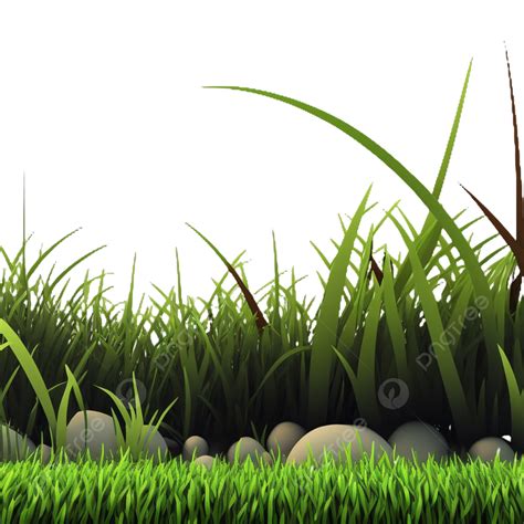 Grass Stone Green Grass Stone Lawn Png Transparent Image And Clipart