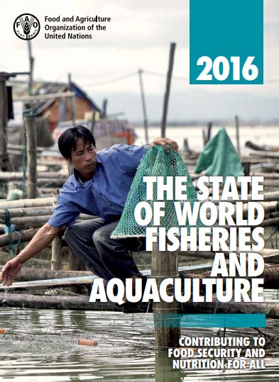 The State Of World S Fisheries And Aquaculture 2016 Policy Support And