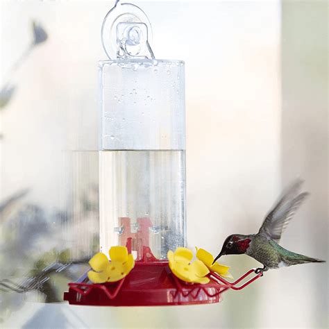 The Best Hummingbird Feeders on Amazon in Every Style - Birding Insider